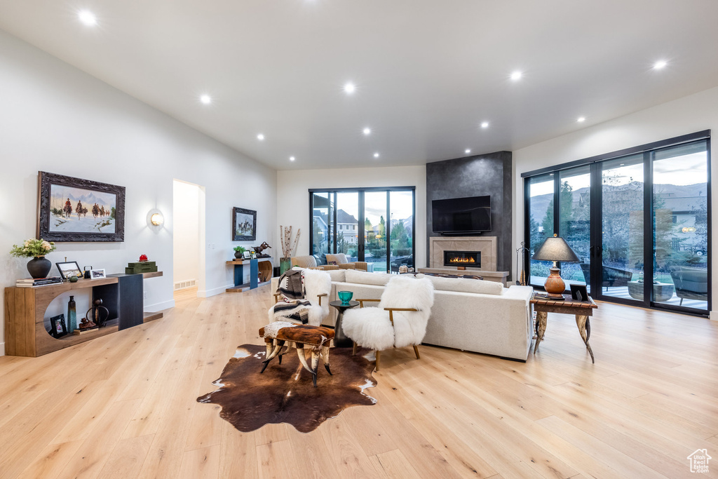 Living room featuring a large fireplace, light hardwood / wood-style floors, and plenty of natural light