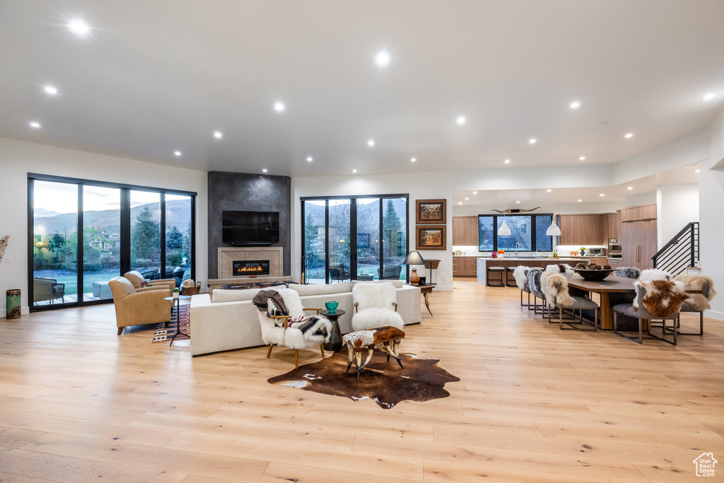 Living room featuring a large fireplace and light hardwood / wood-style flooring