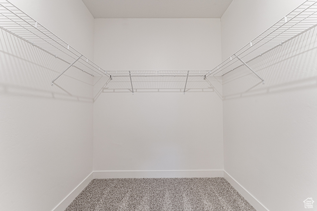 Spacious closet featuring light carpet