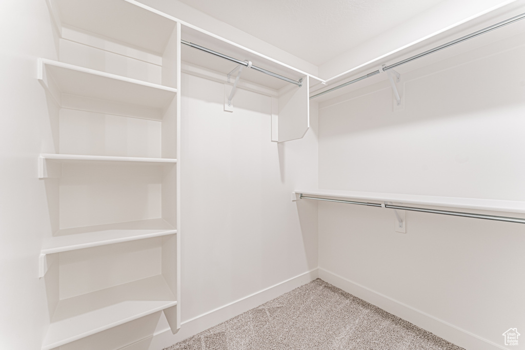 Walk in closet featuring carpet