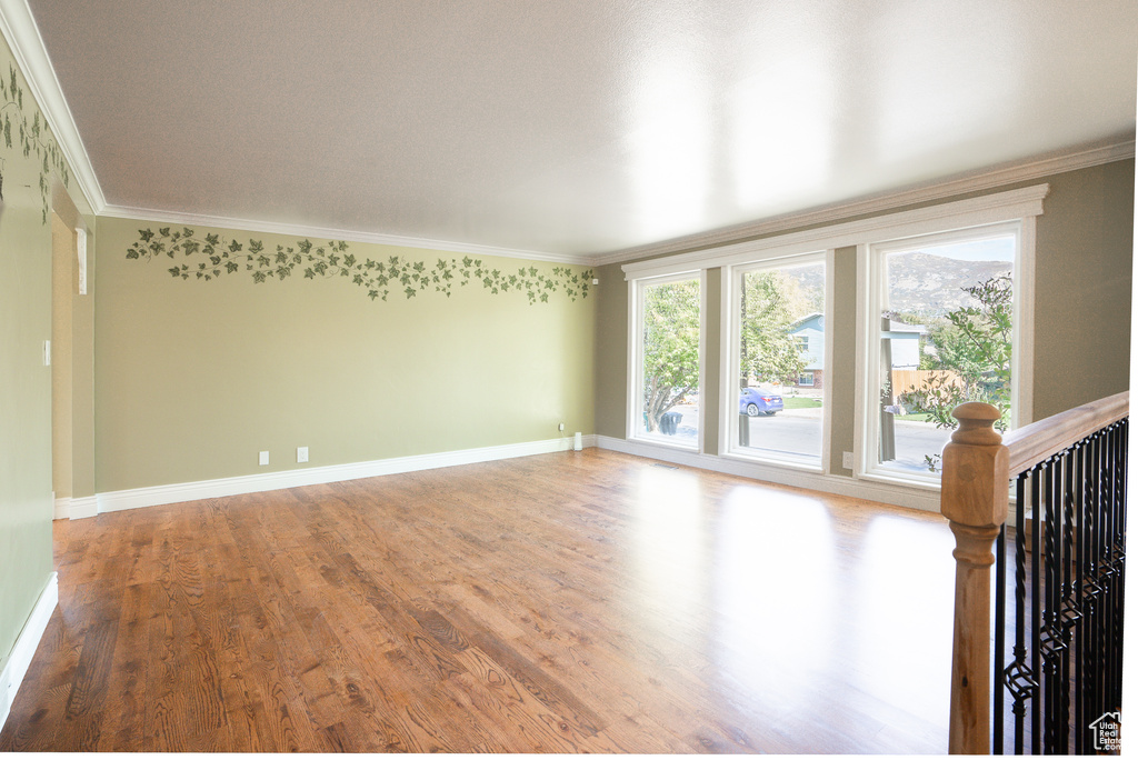 Empty room with hardwood / wood-style flooring and crown molding