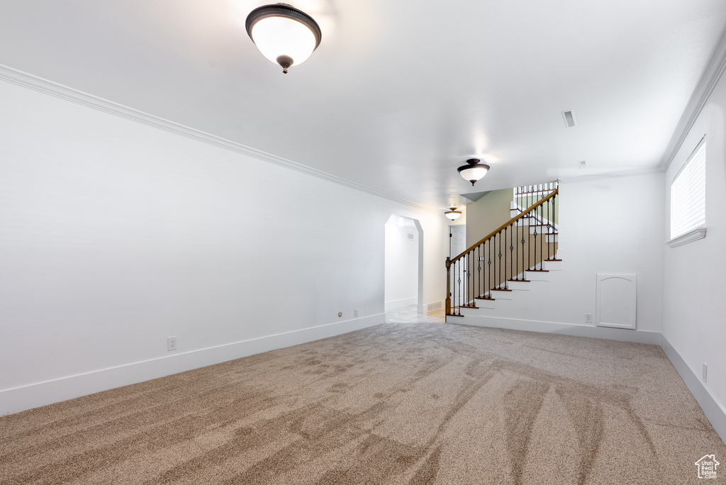 Unfurnished living room featuring carpet flooring and crown molding