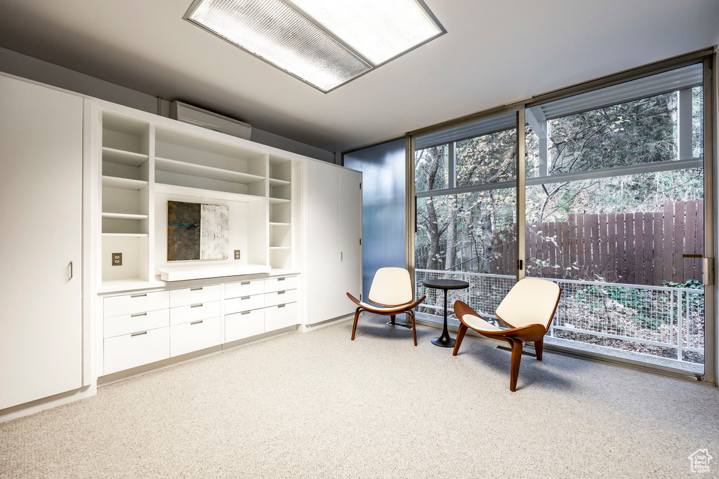 Sitting room with light carpet and plenty of natural light