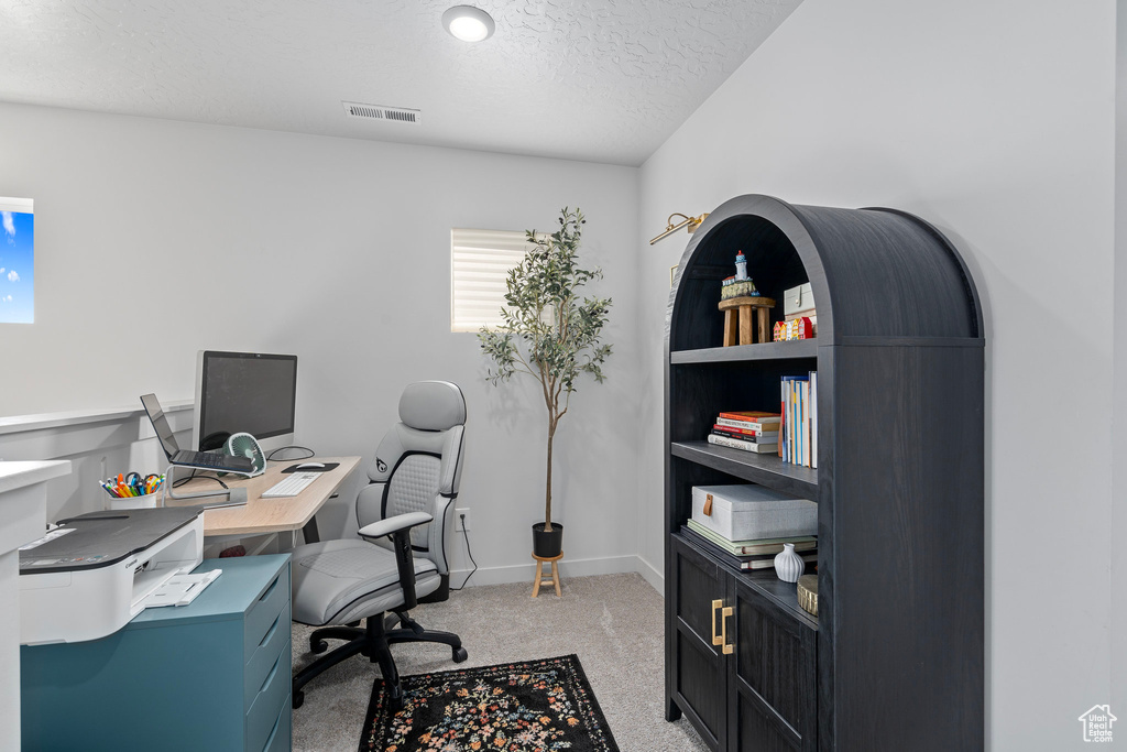 Carpeted office with a textured ceiling