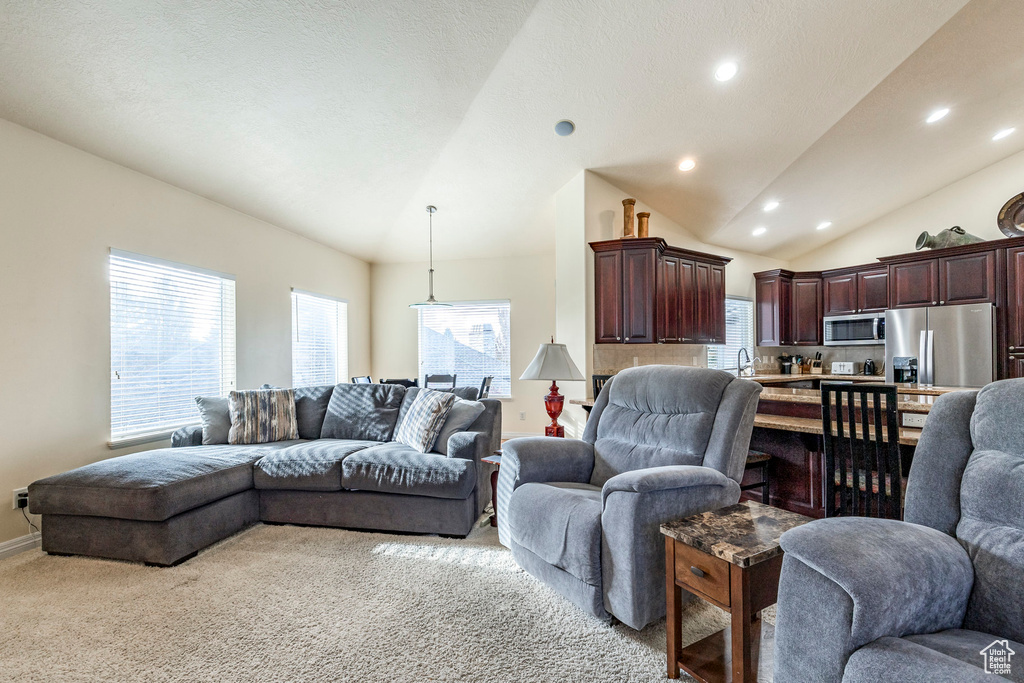 Carpeted living room with a textured ceiling, high vaulted ceiling, and sink