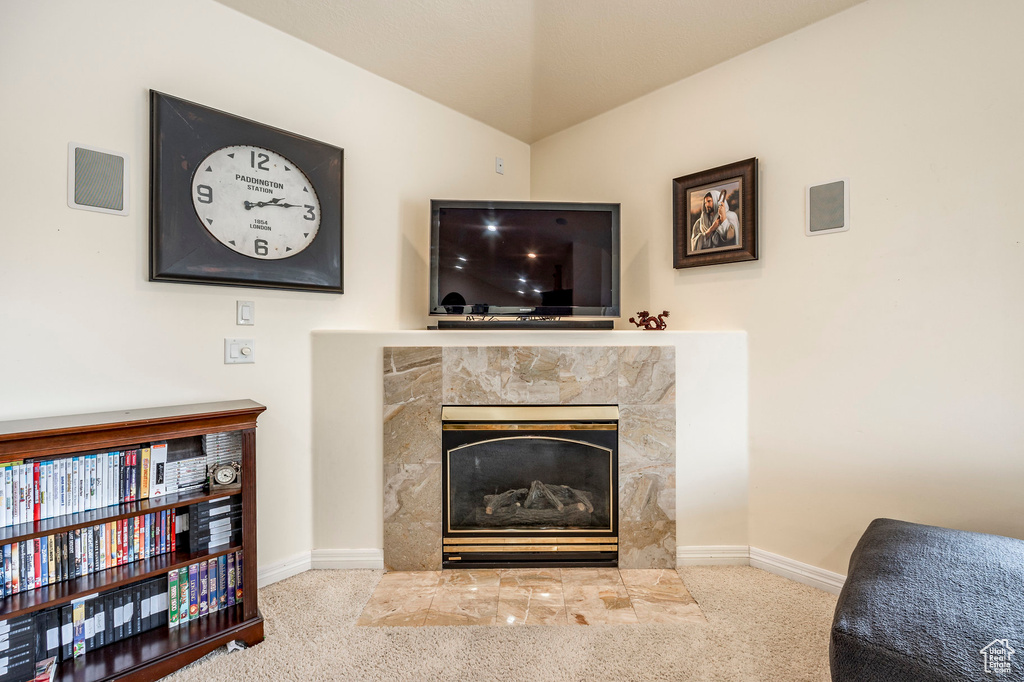 Details with a tiled fireplace and carpet floors