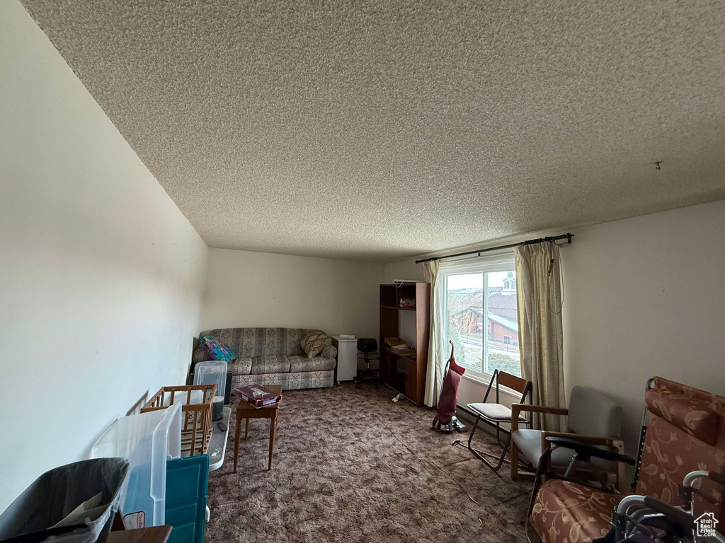 Living room with a textured ceiling and carpet