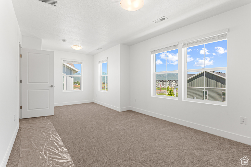 Carpeted empty room featuring healthy amount of natural light
