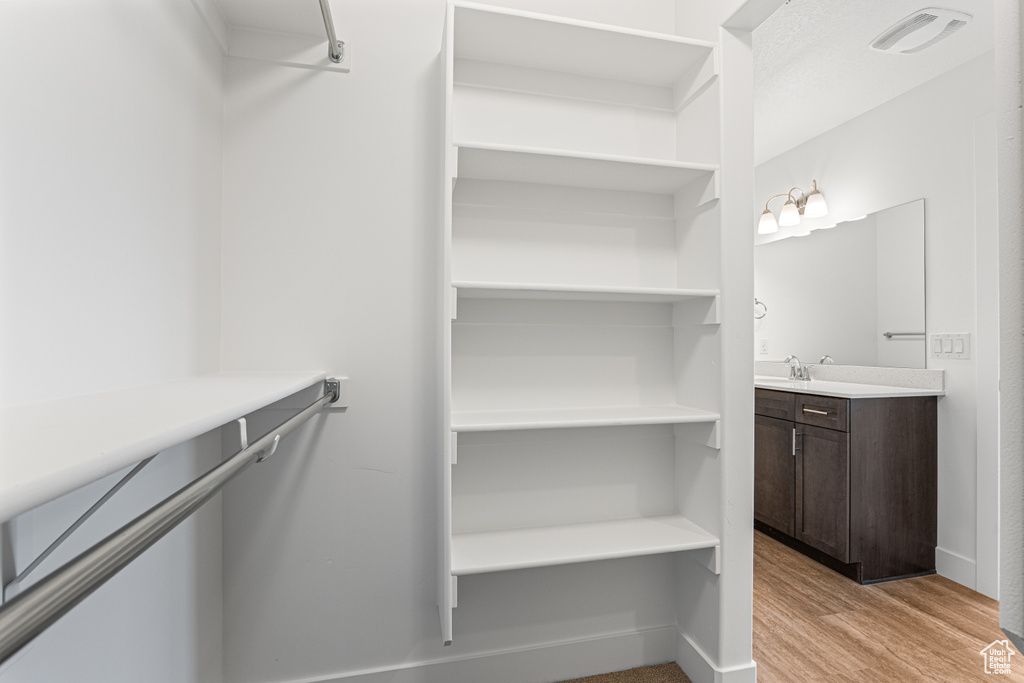 Spacious closet featuring light wood-type flooring and a sink
