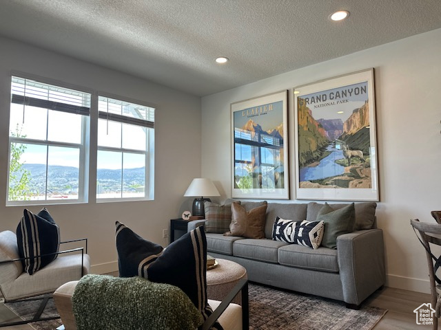 Living room featuring baseboards, a textured ceiling, recessed lighting, and wood finished floors