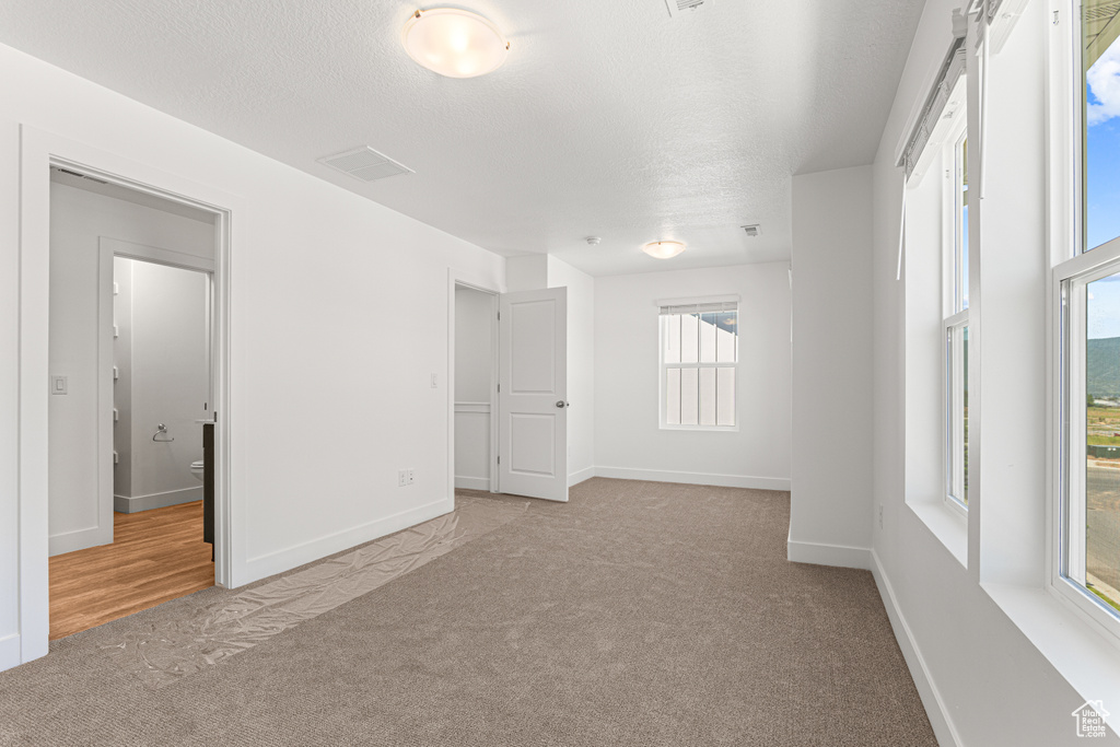 Empty room featuring carpet flooring and a textured ceiling