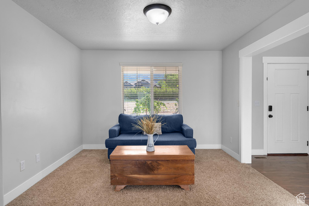 Living area with carpet floors and a textured ceiling