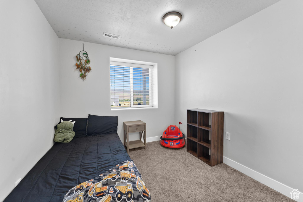 Bedroom featuring carpet flooring and a textured ceiling