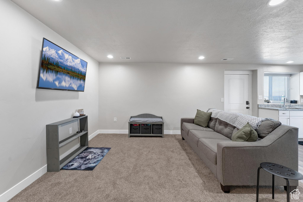 Living room with sink, light colored carpet, and a textured ceiling