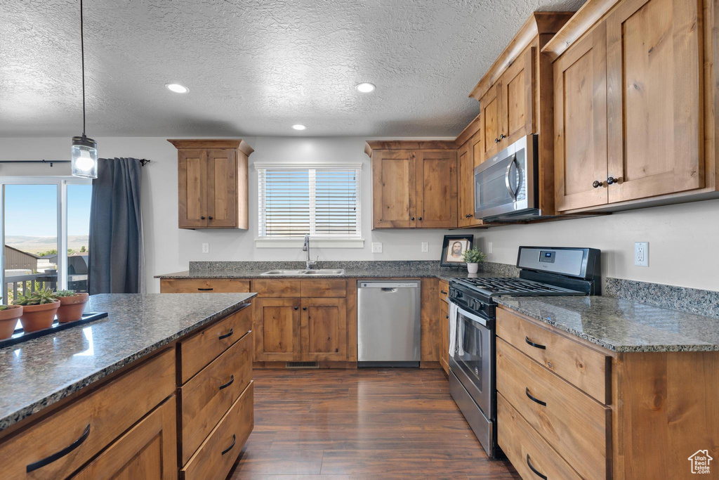 Kitchen with plenty of natural light, dark hardwood / wood-style flooring, stainless steel appliances, and hanging light fixtures