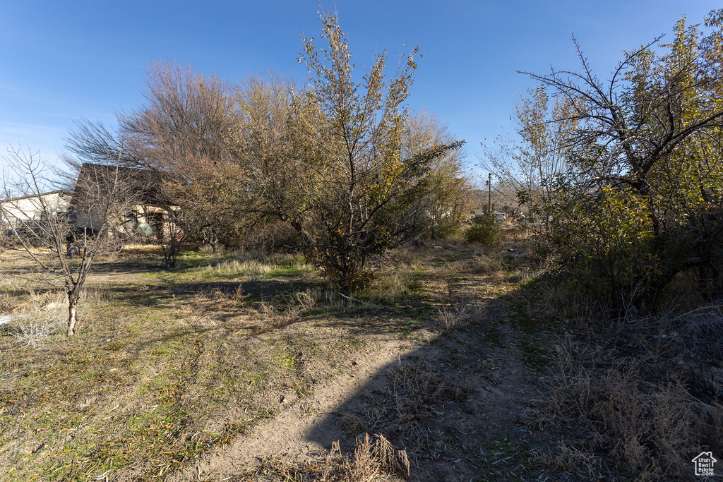 View of landscape