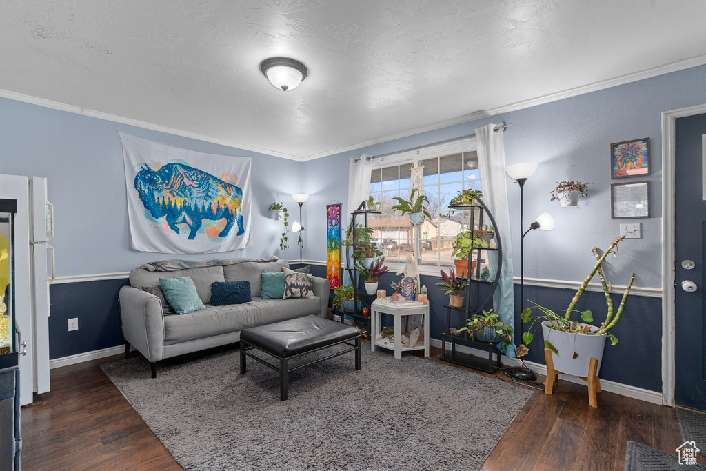 Living room with crown molding and dark wood-type flooring