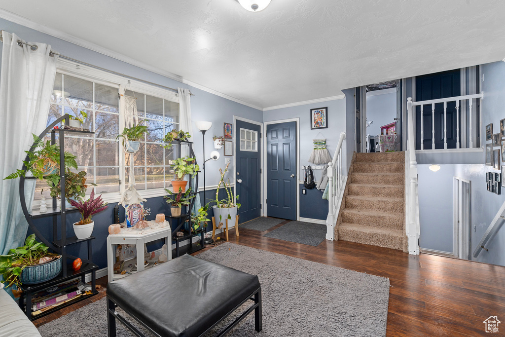 Living room with crown molding and dark hardwood / wood-style floors