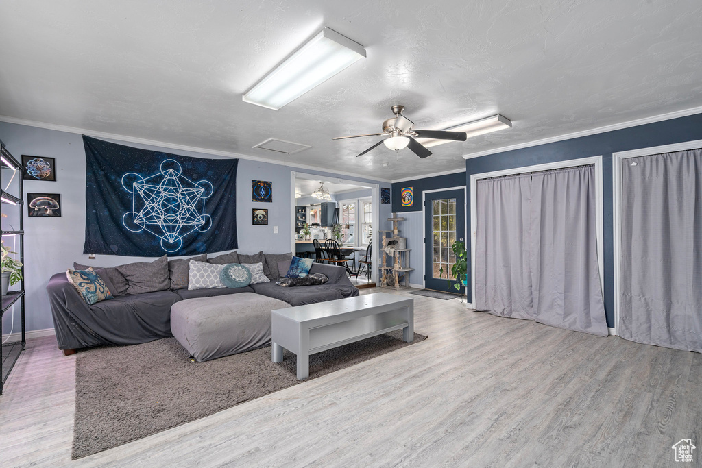 Living room featuring hardwood / wood-style flooring, ceiling fan, crown molding, and a textured ceiling