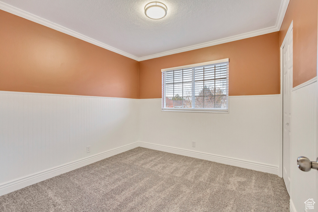Empty room featuring carpet, a textured ceiling, and crown molding