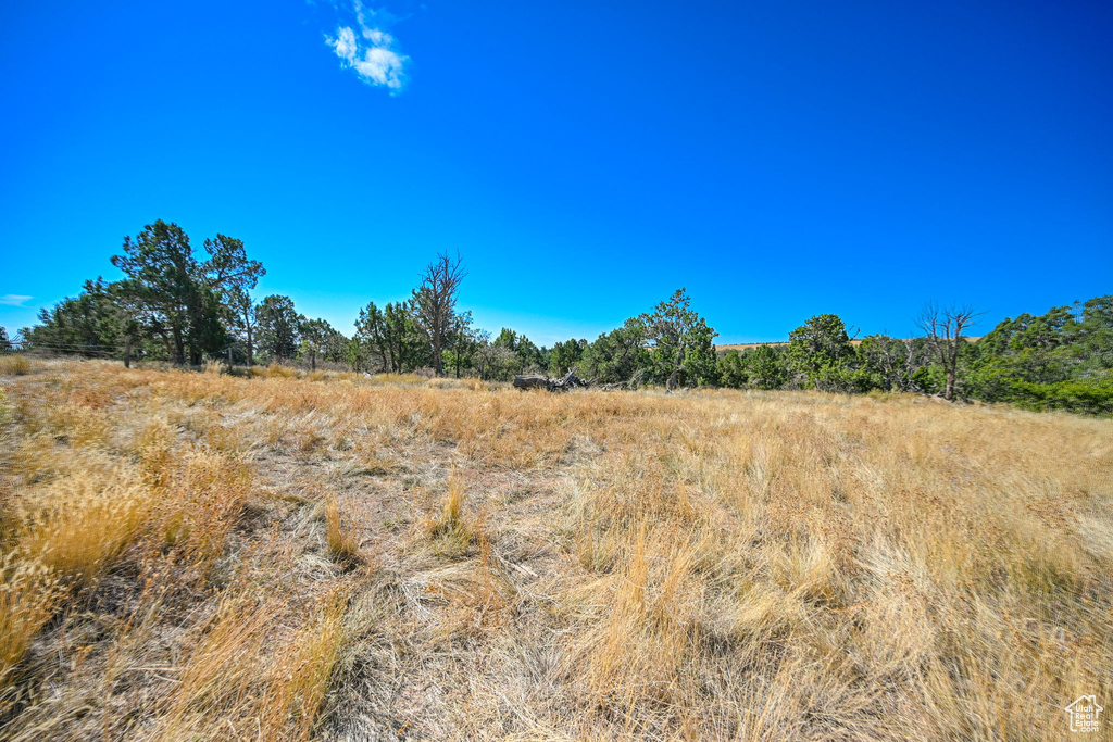 View of landscape featuring a rural view