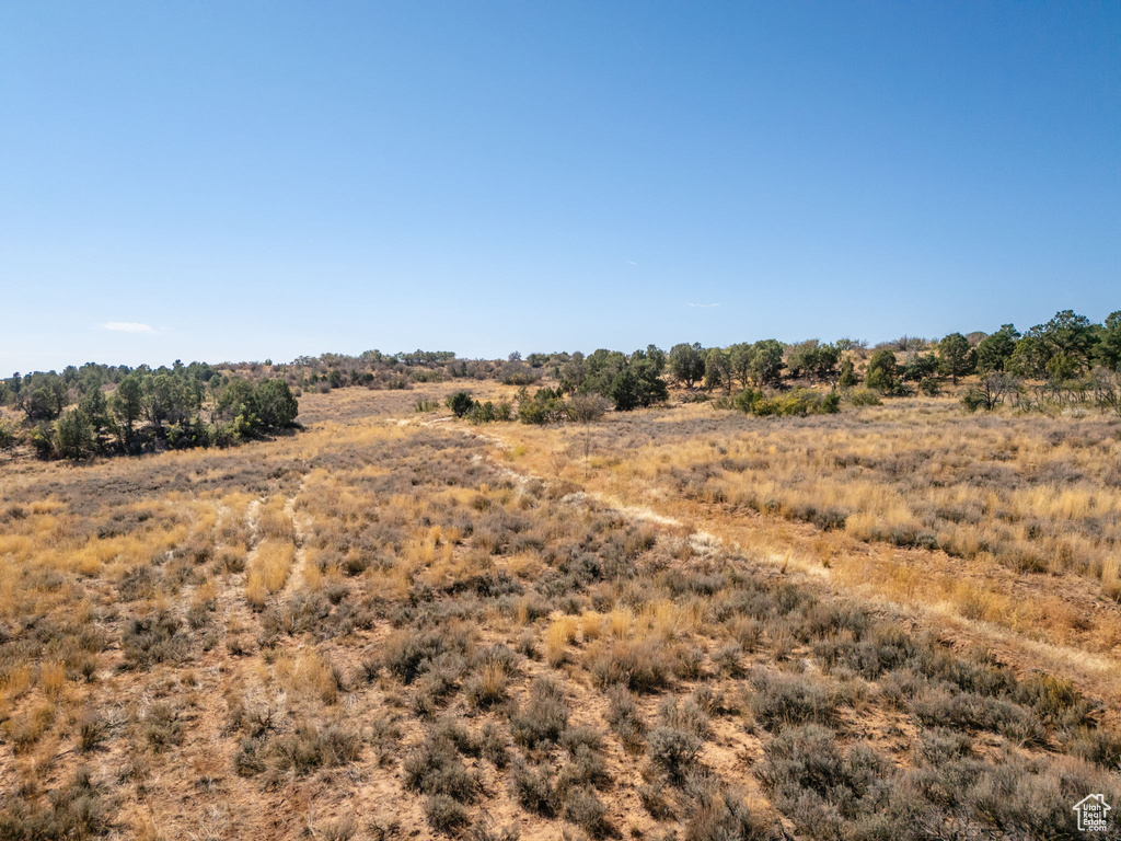 View of local wilderness with a rural view