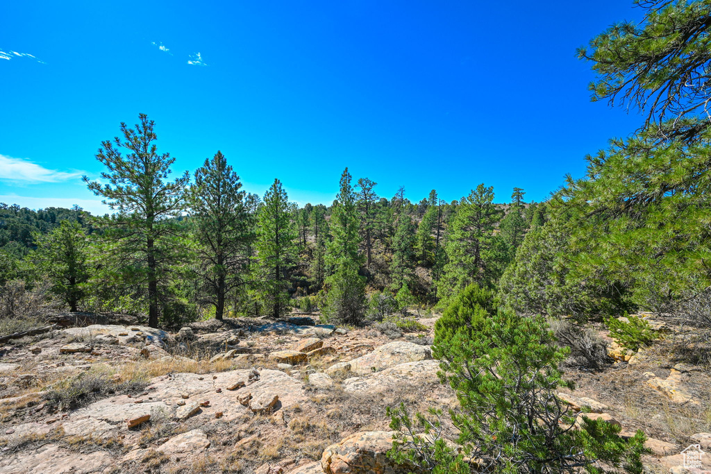 View of landscape