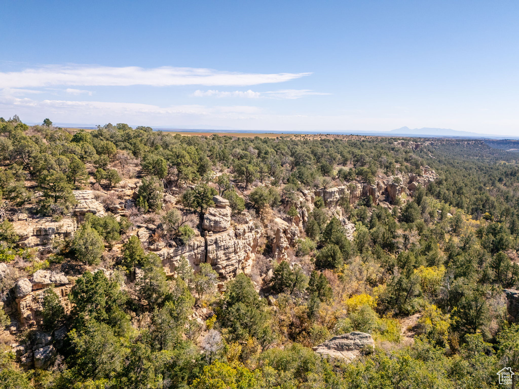 Bird's eye view featuring a mountain view