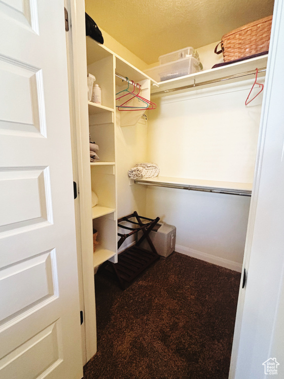 Spacious closet featuring carpet