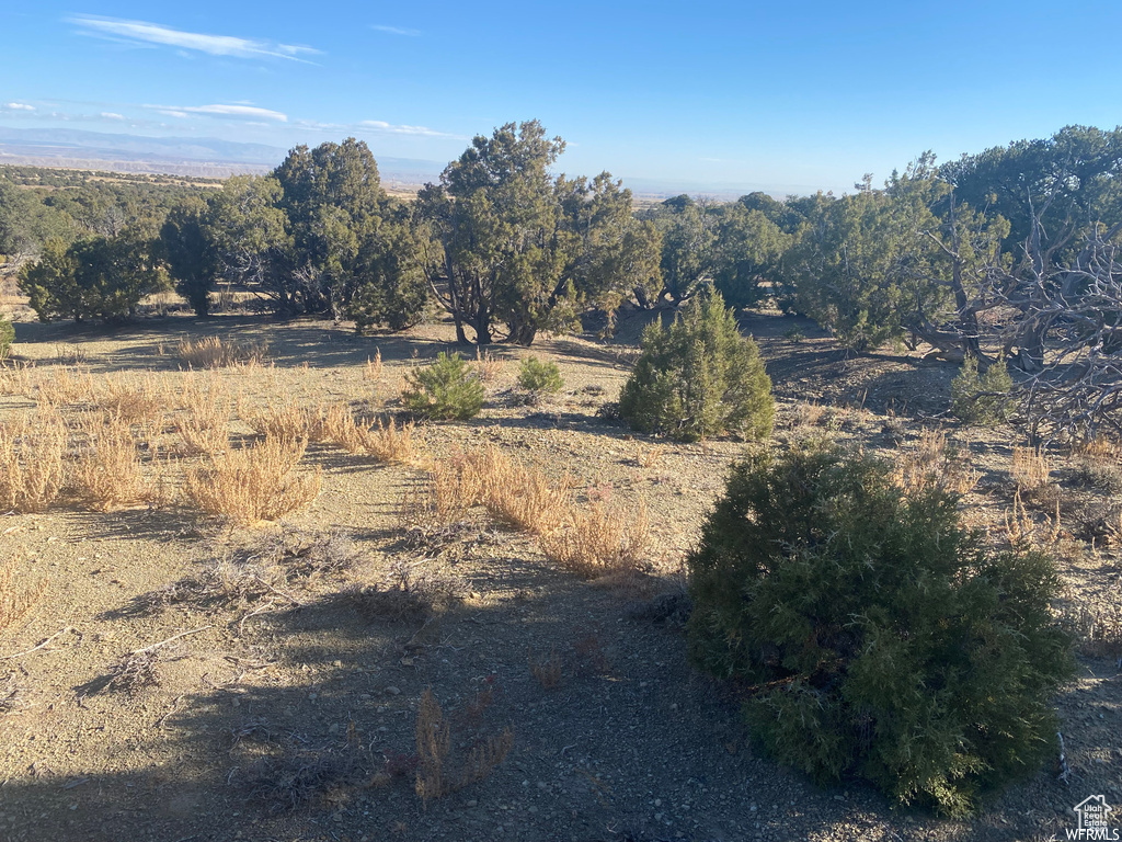 Mountain view featuring a rural view