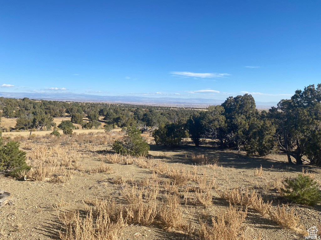 View of local wilderness featuring a rural view