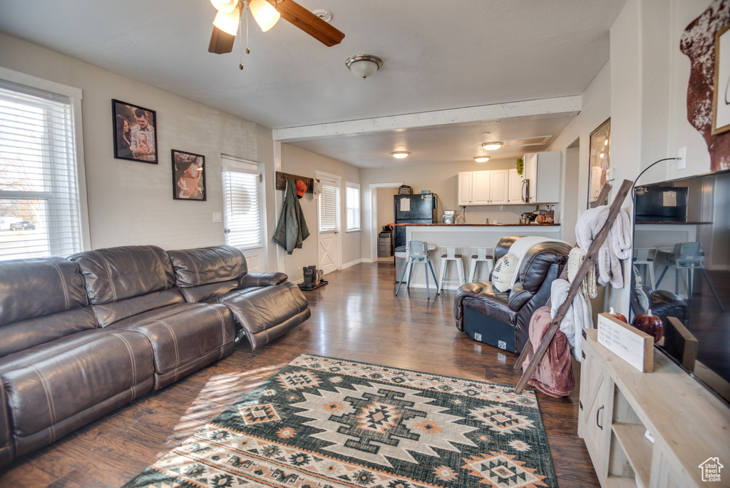 Living room with ceiling fan, a healthy amount of sunlight, and dark hardwood / wood-style floors