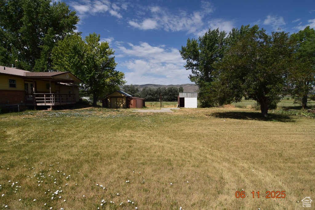 View of green lawn with a storage shed and a mountain view