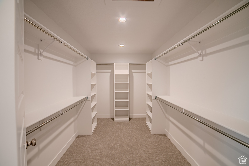 Spacious closet featuring light carpet