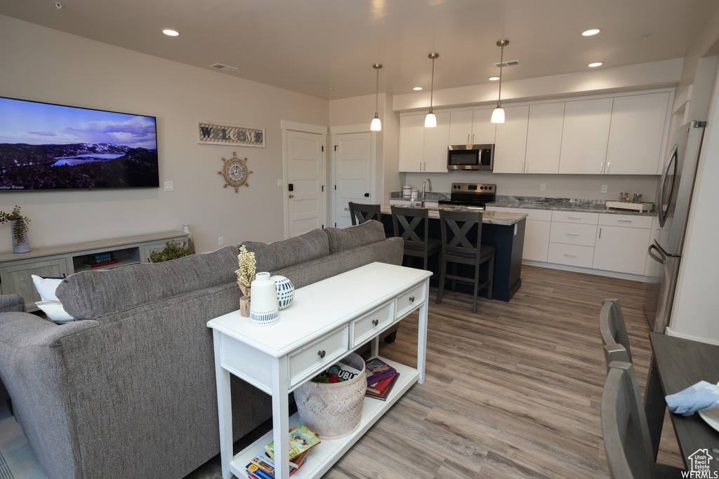 Living room featuring light wood-type flooring and sink