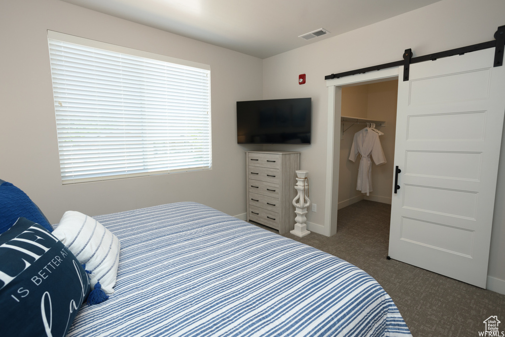 Carpeted bedroom with a barn door, a spacious closet, and a closet