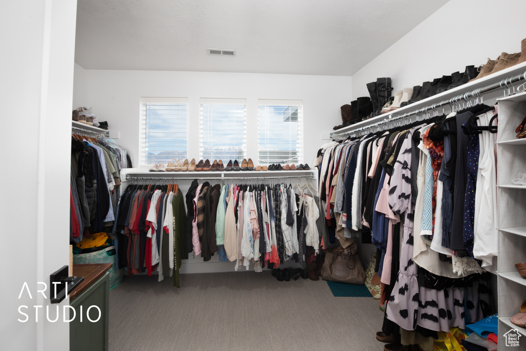 Spacious closet with carpet floors