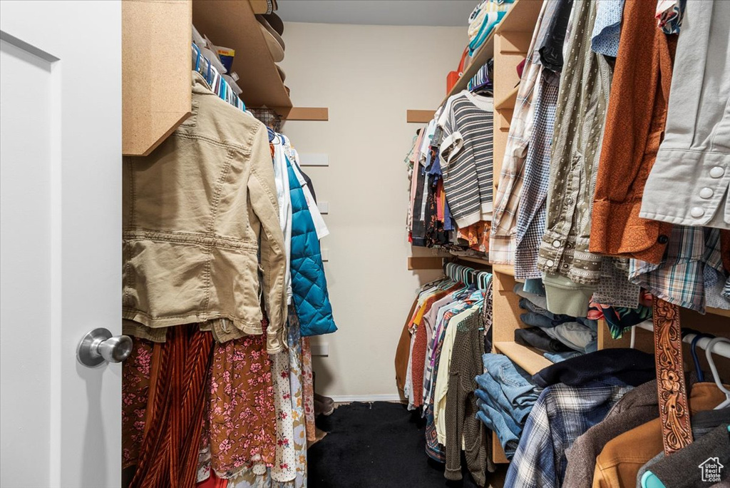 Walk in closet with carpet floors