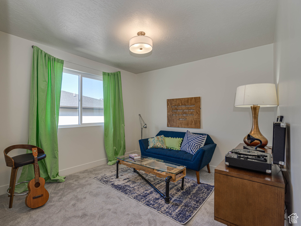 Carpeted living area featuring baseboards and a textured ceiling