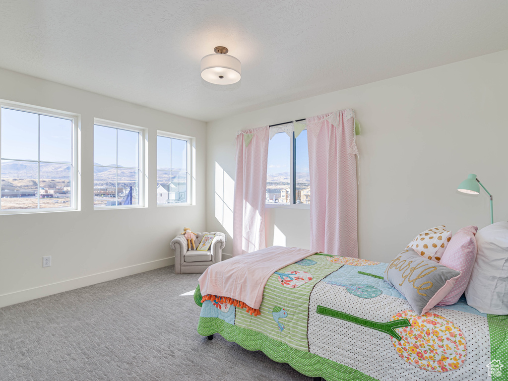 Bedroom featuring baseboards and carpet