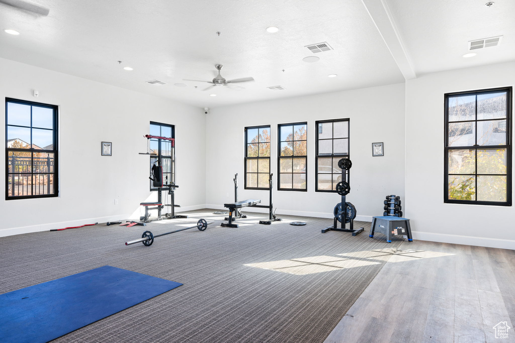 Workout area featuring hardwood / wood-style floors, ceiling fan, and a healthy amount of sunlight