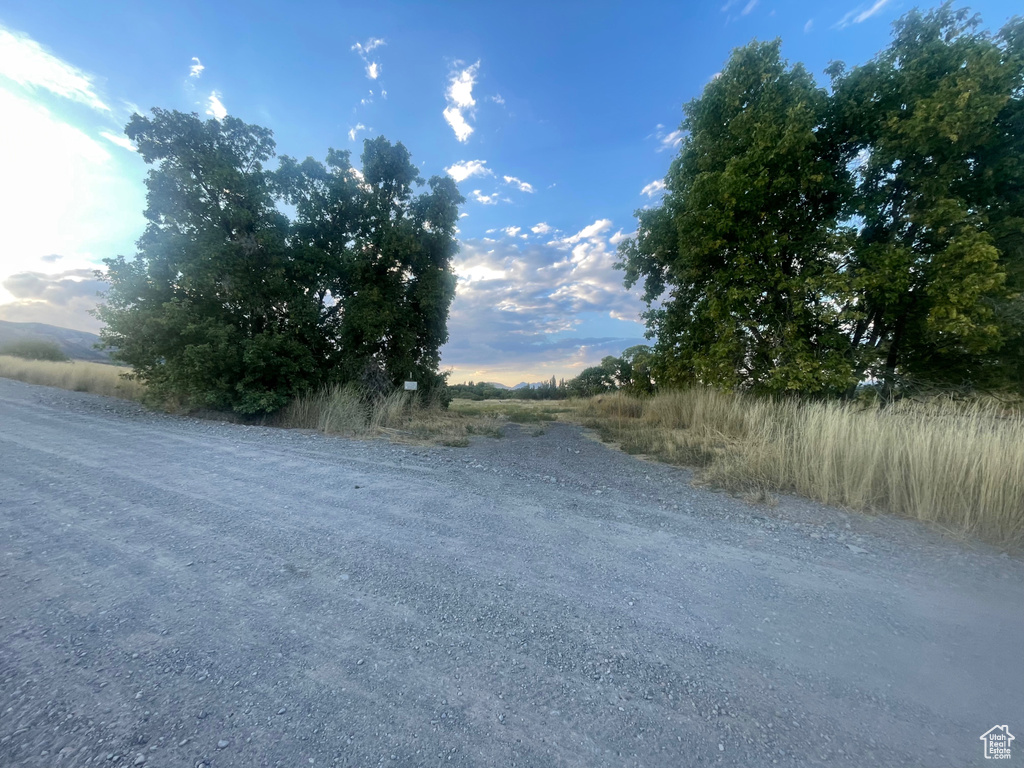 View of road