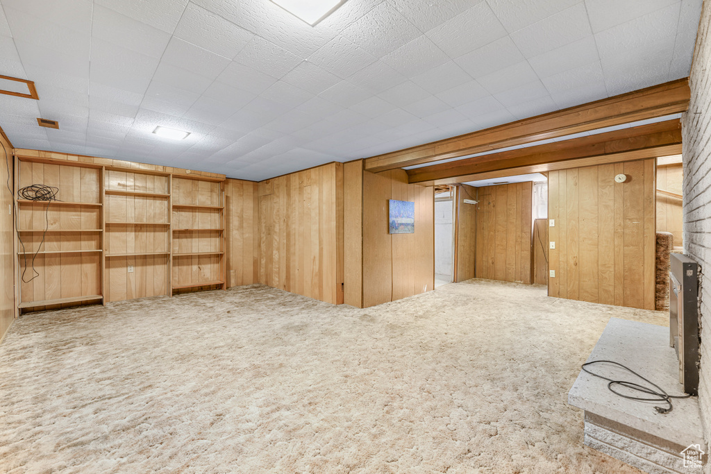 Basement featuring wood walls and carpet floors