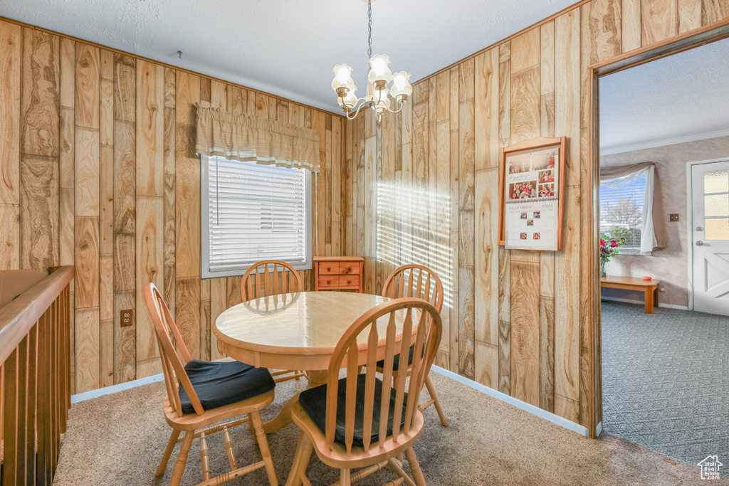 Dining room featuring a wealth of natural light and wooden walls