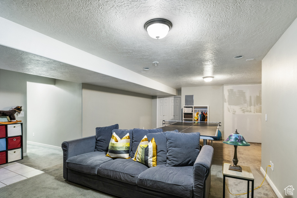 Living room featuring light colored carpet and a textured ceiling