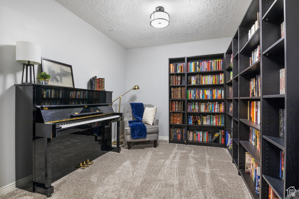 Miscellaneous room featuring carpet floors and a textured ceiling