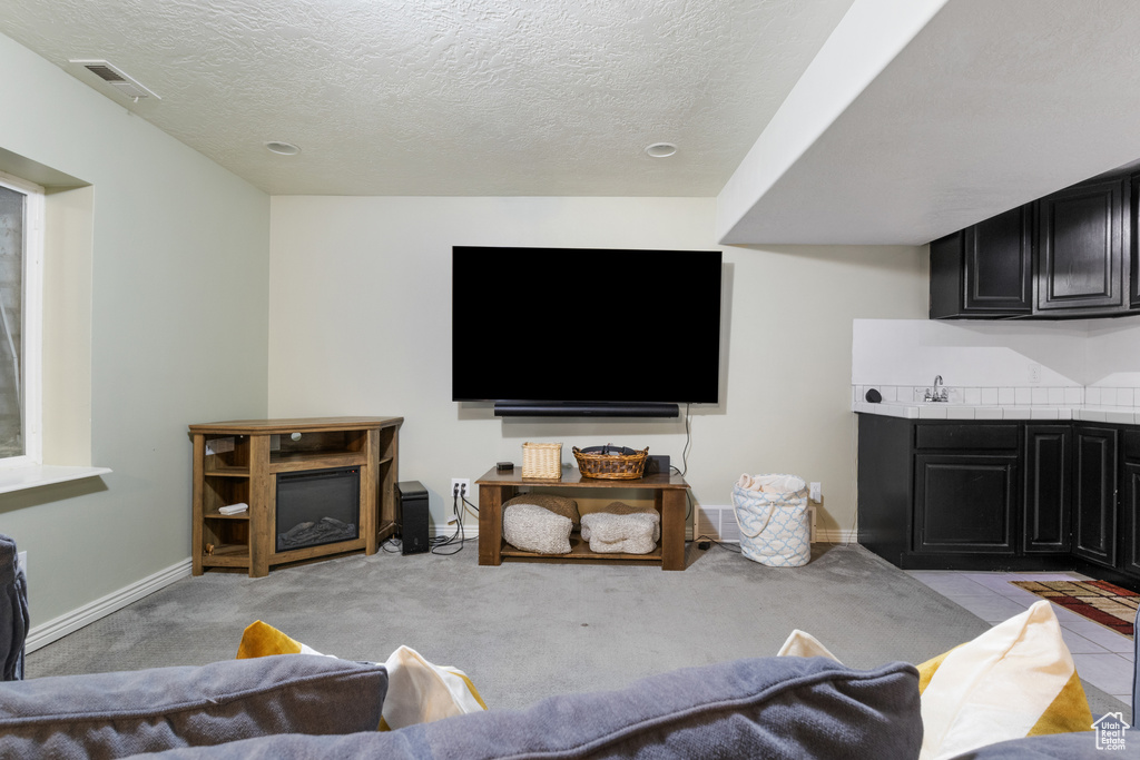 Living room featuring light colored carpet and a textured ceiling