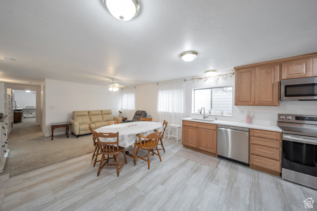 Kitchen with appliances with stainless steel finishes, light hardwood / wood-style flooring, ceiling fan, and sink
