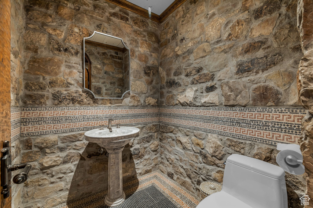 Bathroom featuring toilet and ornamental molding