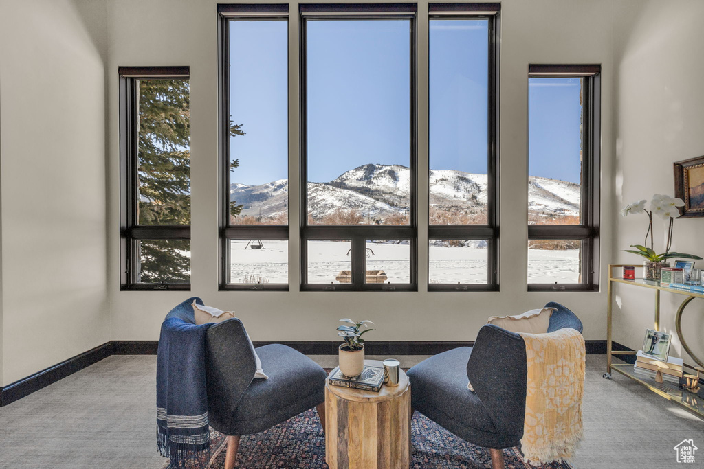 Carpeted living room with a mountain view and a wealth of natural light